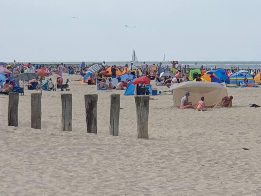 Willa Een Heerlijke Vakantiewoning Aan De Zeeuwse Kust Breskens Zewnętrze zdjęcie